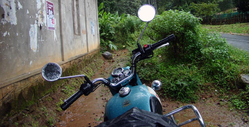 Classic_in_Athirappilly_Forest